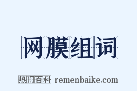 网膜组词是什么意思的图片